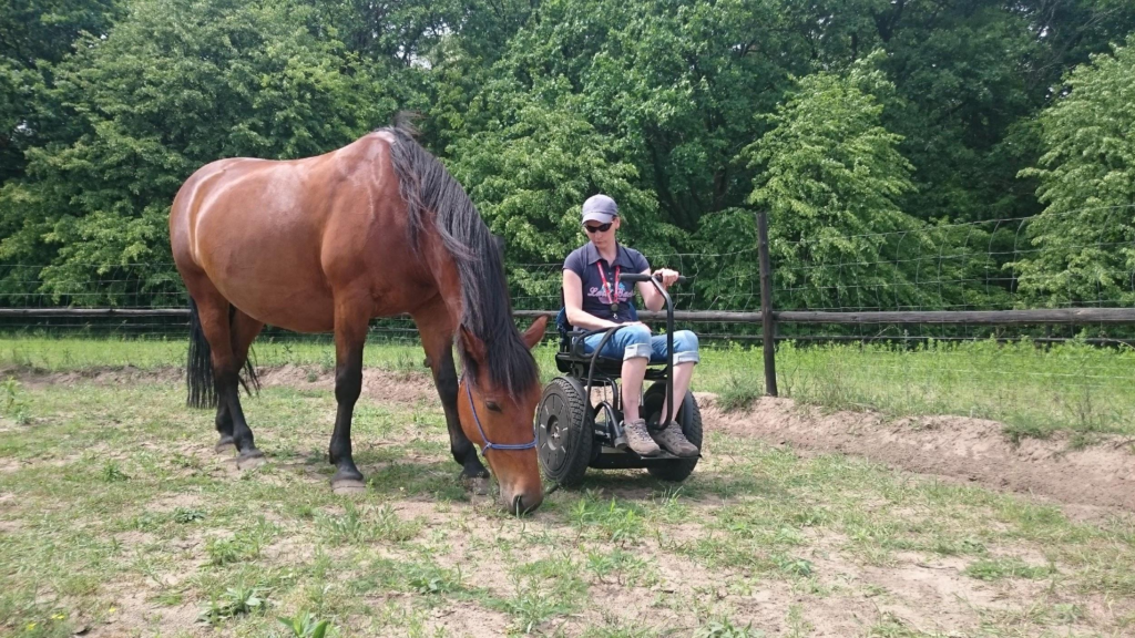 użytkownik wózka elektrycznego Blumil, hipoterapia, wózek elektryczny, wózek inwalidzki